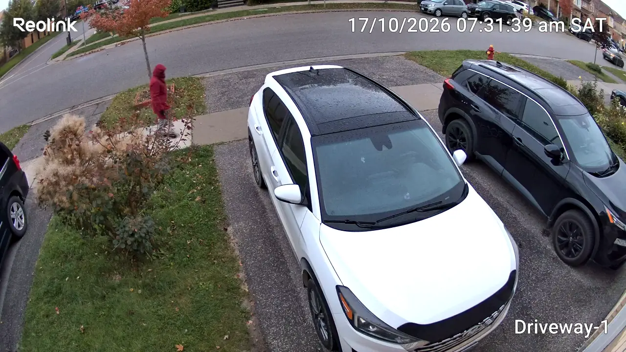 Daytime wide-angle view of the driveway and parked cars