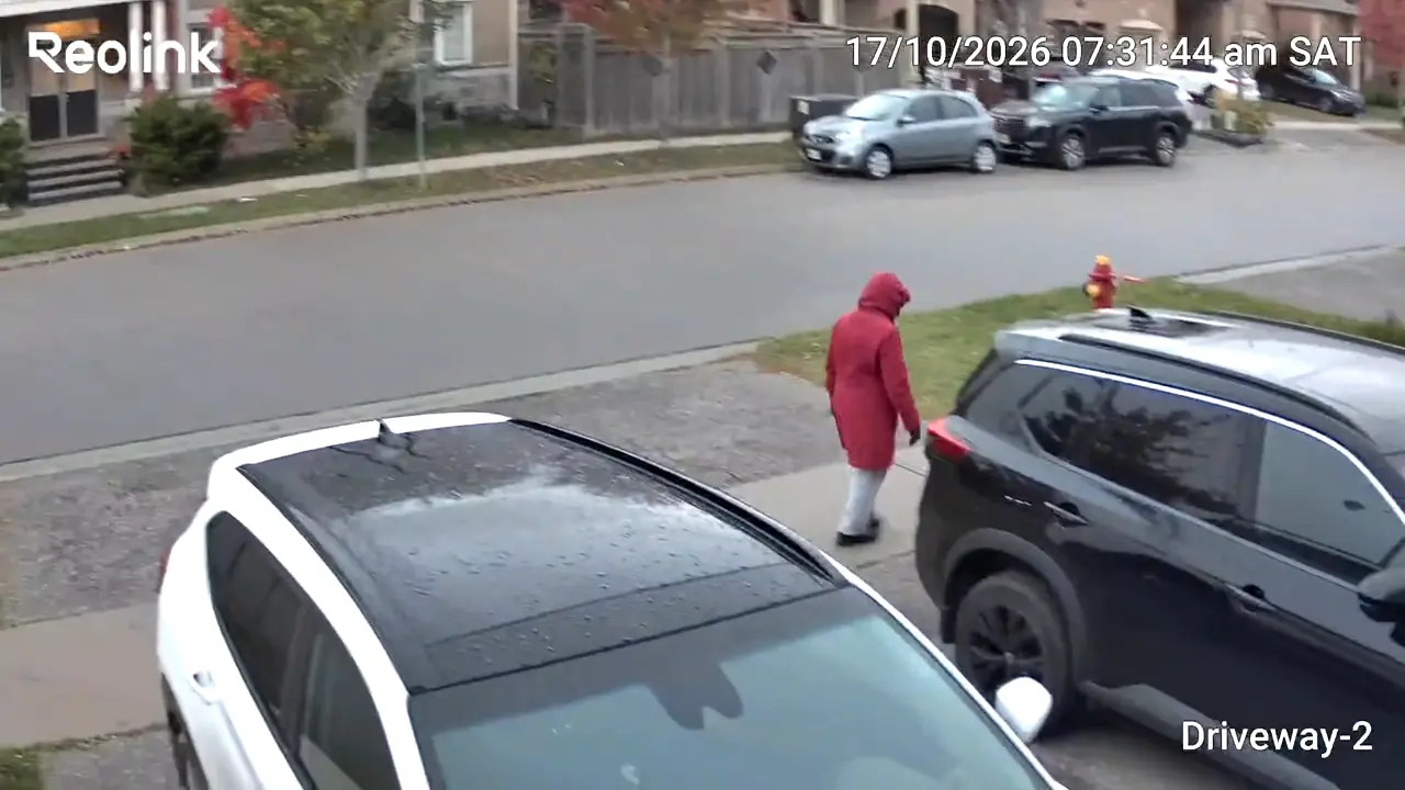 Daytime tracking-camera view of a person beside a parked car