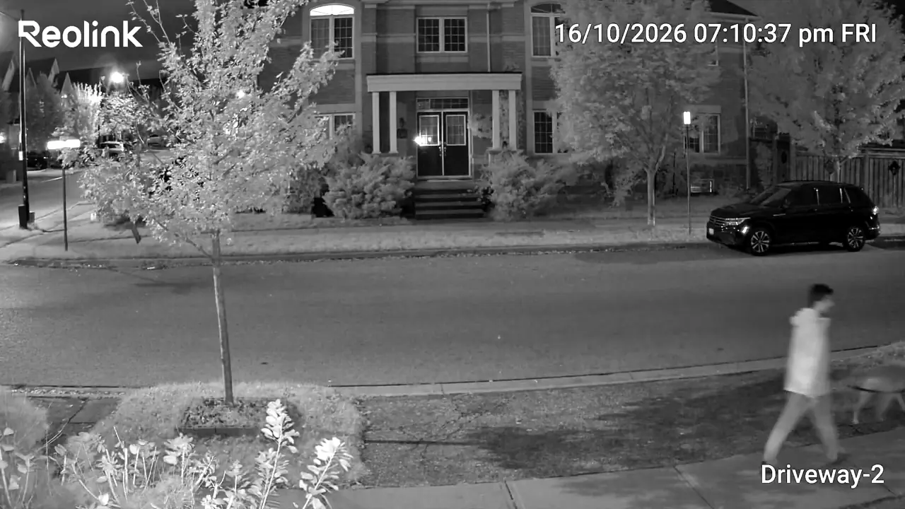Night tracking view showing a person and dog passing the property