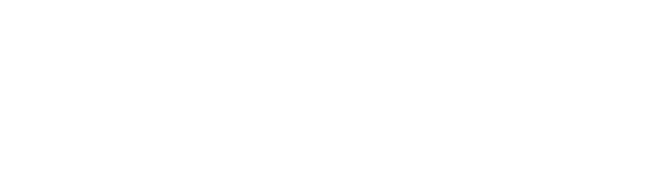 Pipl.System